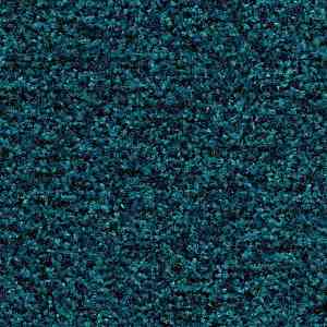 Грязезащитные покрытия Forbo Coral Brush 5705 Bondi blue фото ##numphoto## | FLOORDEALER